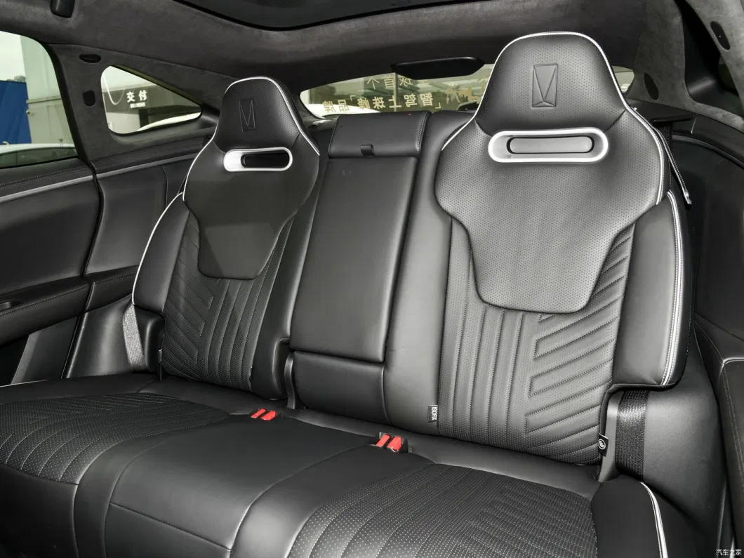 Авита 11 Электрический автомобиль 555 км 680 км Долгая выносливость Двойной двигатель 5 мест 7