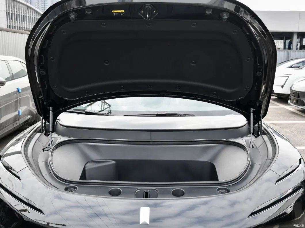 Авита 11 Электрический автомобиль 555 км 680 км Долгая выносливость Двойной двигатель 5 мест 8