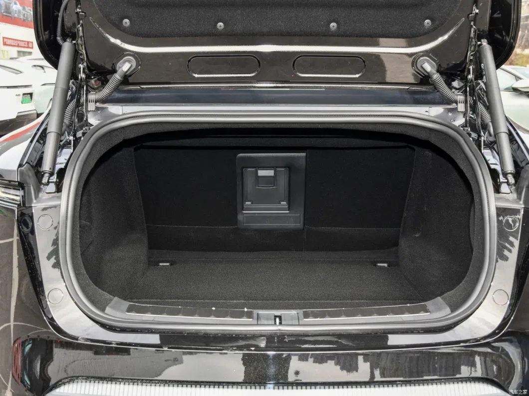 Авита 11 Электрический автомобиль 555 км 680 км Долгая выносливость Двойной двигатель 5 мест 9